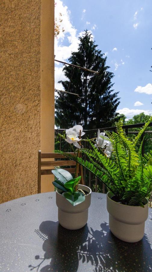 Lk43-Lodging City-Apartments, Kontaktlos Mit Self Check-In กราซ ภายนอก รูปภาพ
